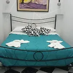 Amonia House